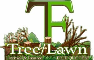 Tree/Lawn Logo