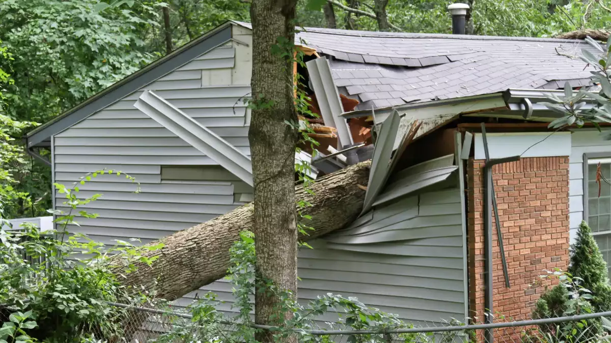 You are currently viewing Emergency Tree Removal in Springfield, MO: 24/7 Storm Response