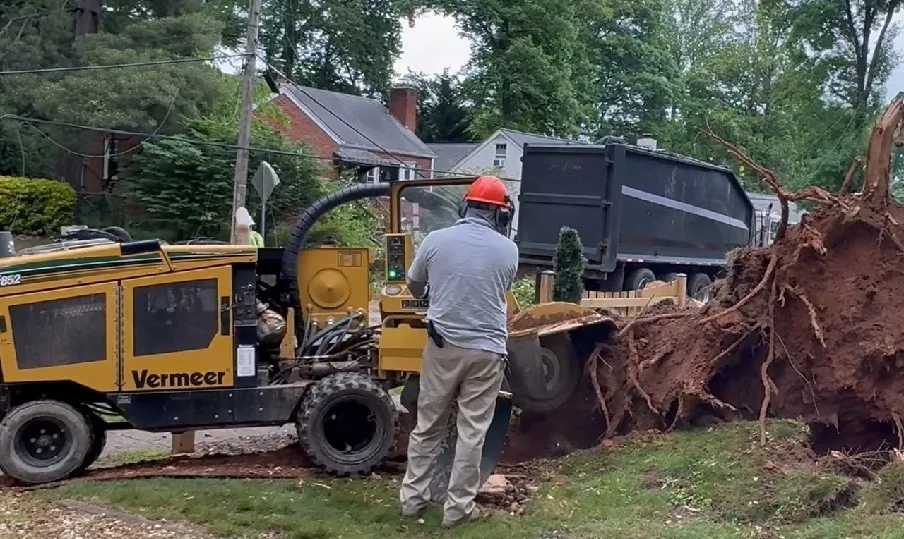 You are currently viewing Stump Grinding Cost in Springfield, MO: 2026 Price Guide and Free Quotes