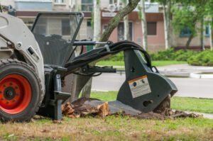 Stump Removal in Springfield
