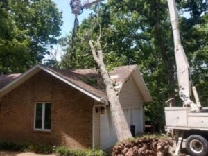 Emergency Tree Services Nixa MO